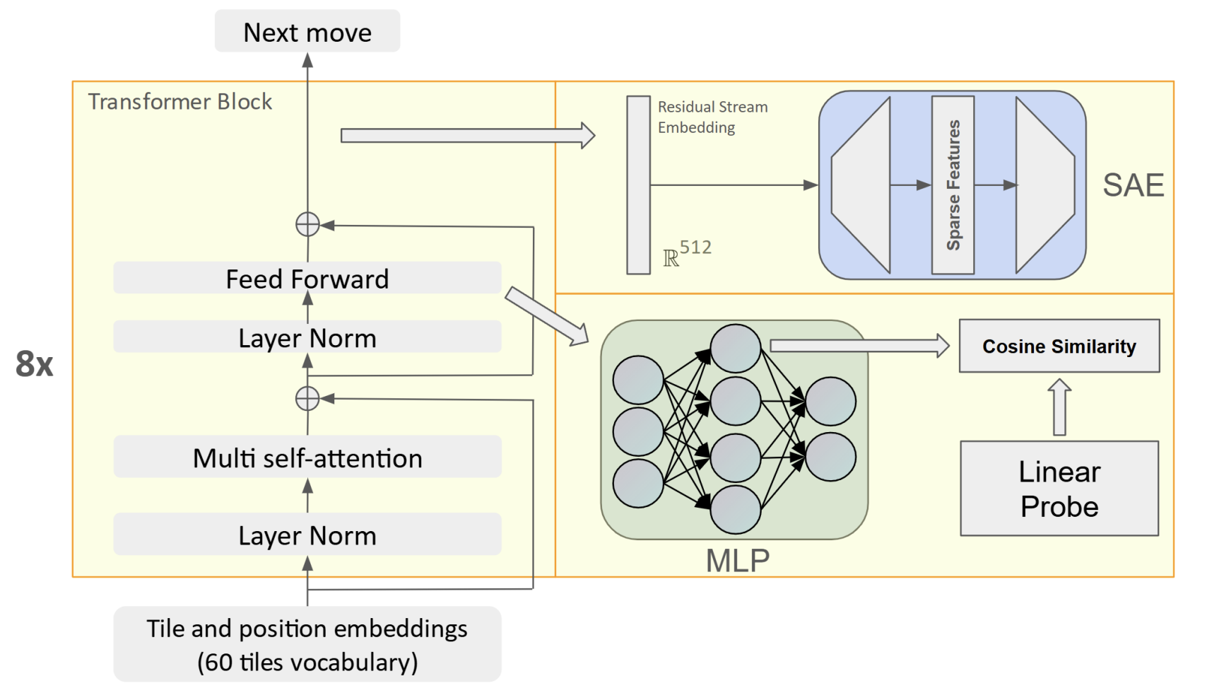 DynaCLR Image